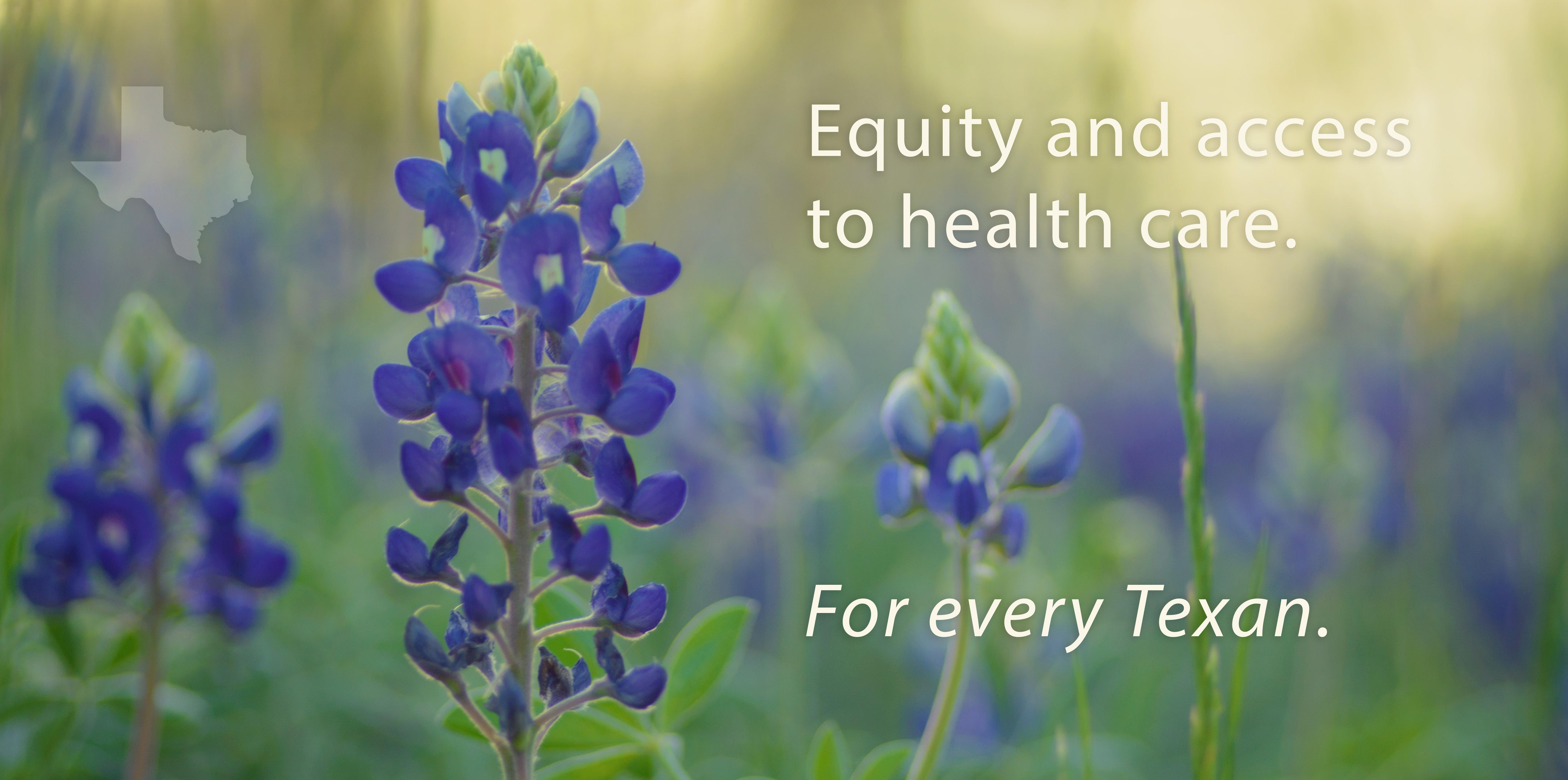 Check out our blog for COVID-19 Texas Policy Solutions.